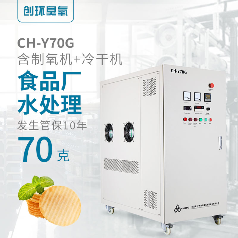 CH-Y高濃度氧氣源水冷一體機(jī)70g/h